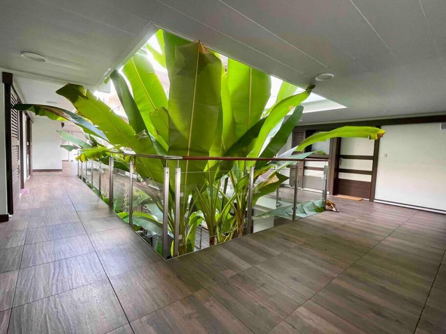 Superbe Appartement, Piscine, Vue Mer Et Montagnes Antibes Zewnętrze zdjęcie