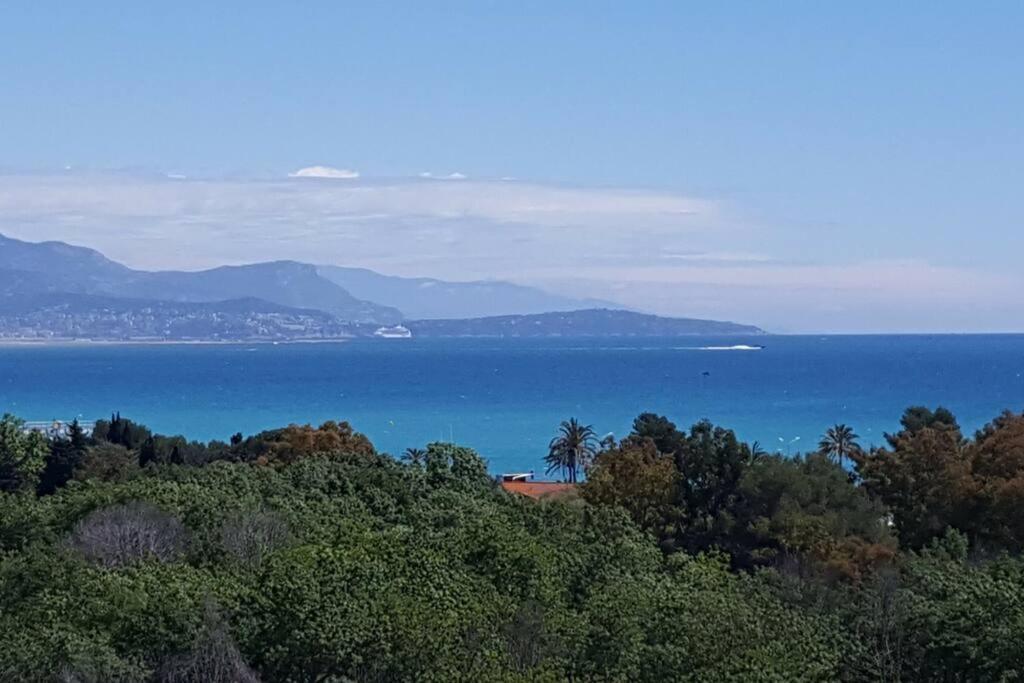 Superbe Appartement, Piscine, Vue Mer Et Montagnes Antibes Zewnętrze zdjęcie