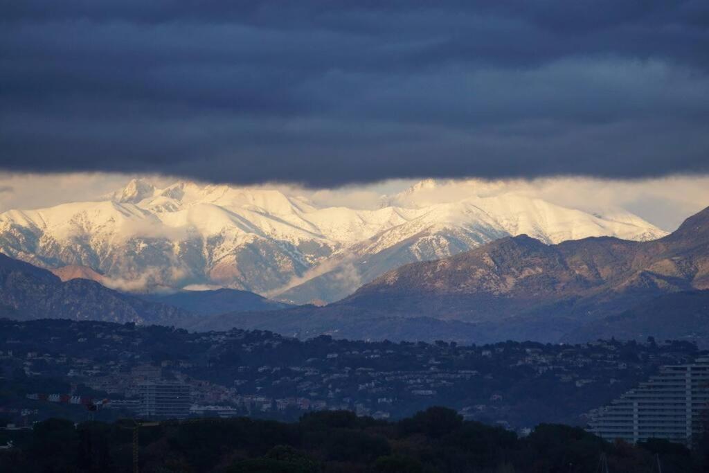 Superbe Appartement, Piscine, Vue Mer Et Montagnes Antibes Zewnętrze zdjęcie
