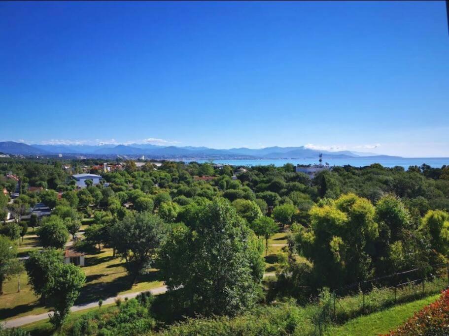 Superbe Appartement, Piscine, Vue Mer Et Montagnes Antibes Zewnętrze zdjęcie